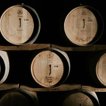 Hotel Kristinus Borbirtok 4*