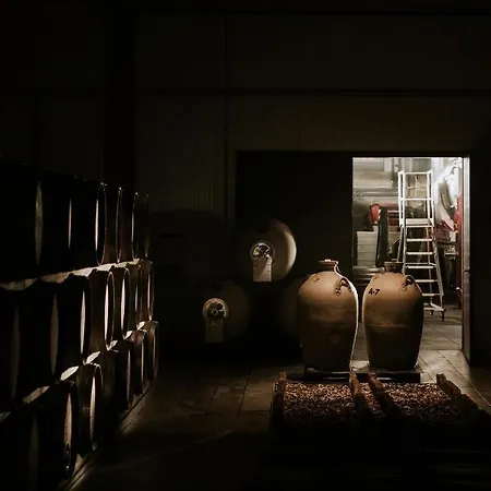 Hotel Kristinus Borbirtok 4*