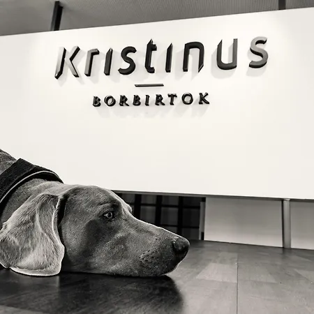 Hotel Kristinus Borbirtok