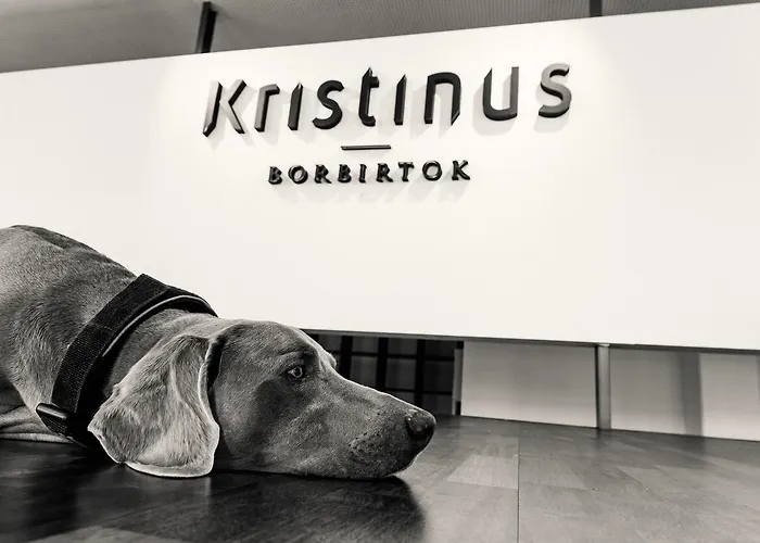 Hotel Kristinus Borbirtok